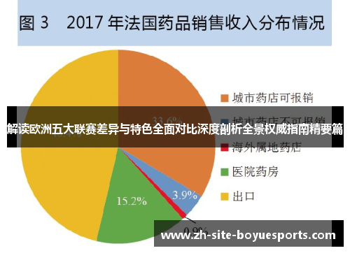 解读欧洲五大联赛差异与特色全面对比深度剖析全景权威指南精要篇