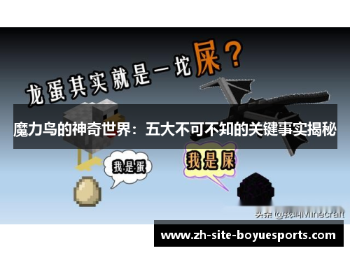 魔力鸟的神奇世界：五大不可不知的关键事实揭秘